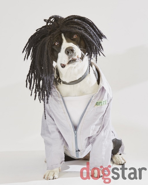 Lieutenant Ruff-ley.