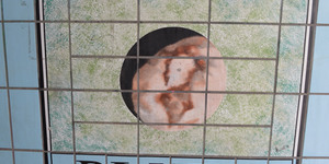 London Foot Tunnel Predicts The Surface Of Pluto