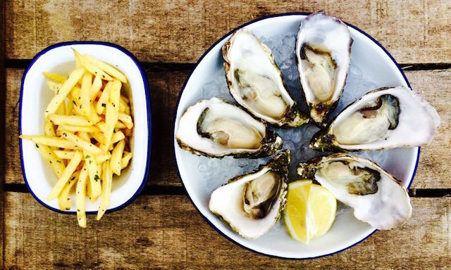 oysters