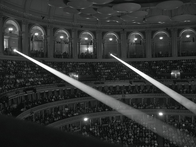 In the spotlight. Photo: Steve Koo (2007)