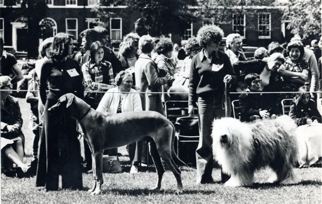 LB Islington, Pets' Day Dog Show at Highbury Fields, 1976 (Islington Local History Centre)