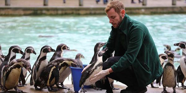 penguins.jpg