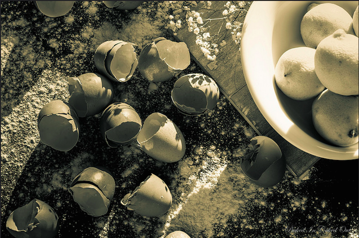 You've got to crack a few eggs to make a cake. Photo: Sameen Ismail (2014)