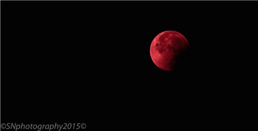 moon7.jpg