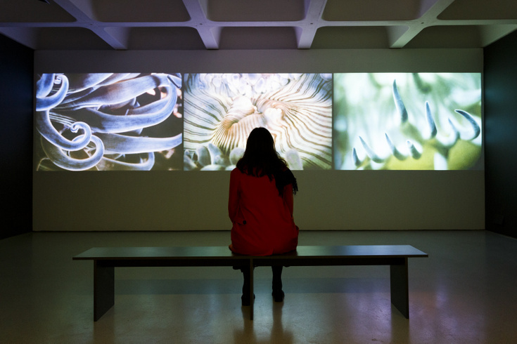 23-_the_world_of_charles_and_ray_eames__barbican_art_gallery-_photo_tristan_fewings_getty_images.jpg