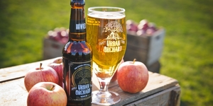 Where To Drink Cider In London