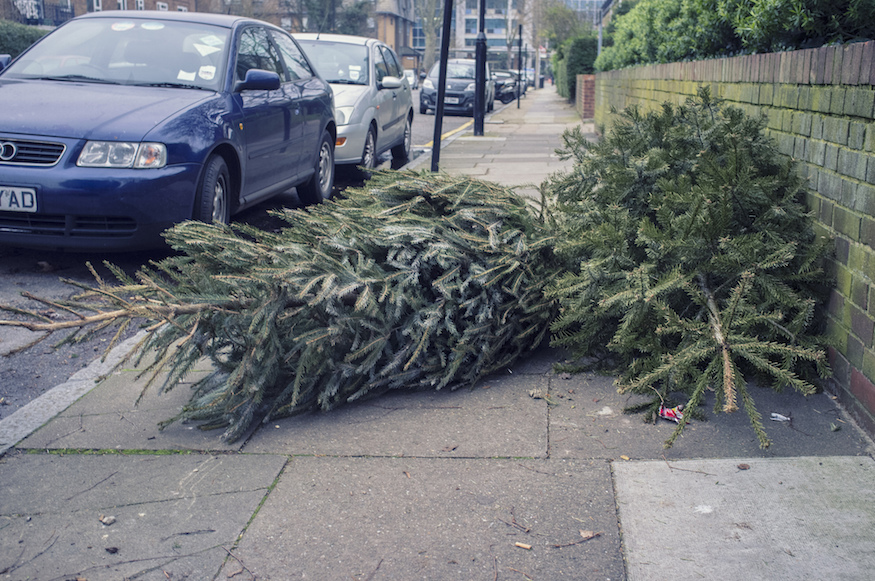 You Can Still Recycle Your Christmas Tree Londonist