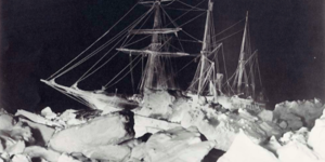Last Chance To See: An Antarctic Adventure In South Ken