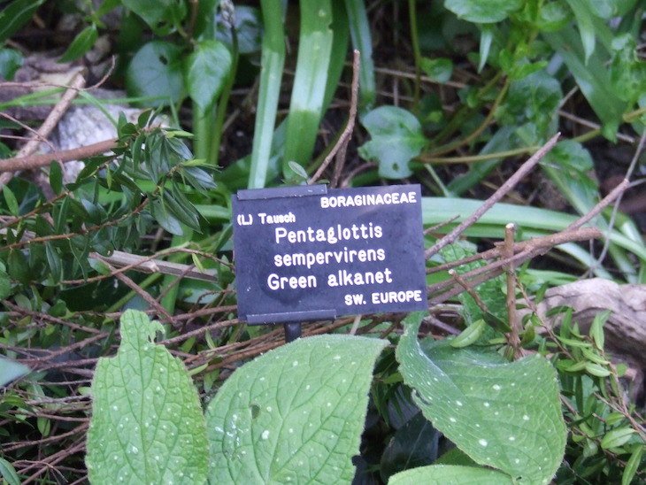 dscf4157.jpg