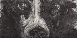 Take Your Pooch To The Pictures