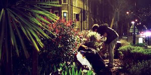 Guerrilla Gardening In London: A Battle Against Concrete Paving And Private Development