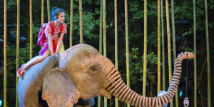 Running Wild Reviewed: A Real Summer Treat