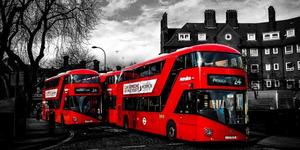 9 Themed Bus Routes You Should Try