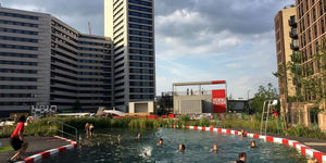 King's Cross Pond Threatened With Closure