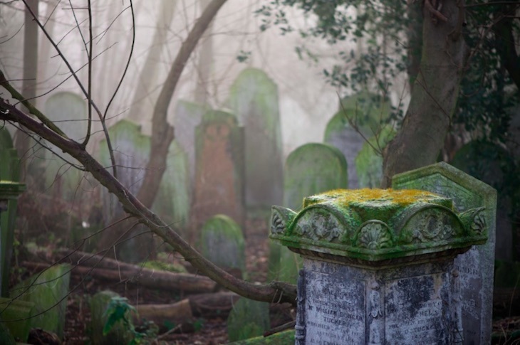 7 Things You Probably Didn't Know About Tower Hamlets Cemetery - Londonist