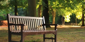 How To Get A Memorial Bench In London