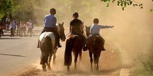 Horse Racing Could Be Coming To Central London's Streets