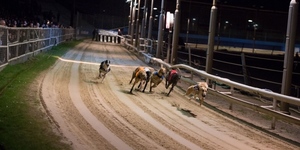 Farewell To The Wimbledon Dogs