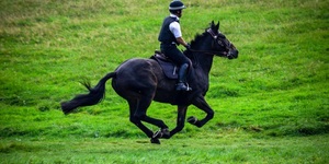 The Police Forces Of London's Parks