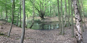 Where Is Camelot? Near Cockfosters, Since You Ask