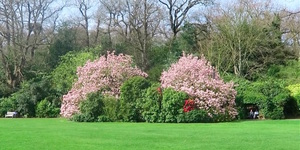 Video: The Gardens Of Kenwood House