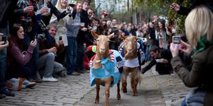 London's Oddest Annual Events: Wacky Races