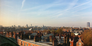 Things To Do During The Day In Chelsea
