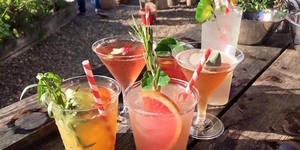 This Bar In A Herb Garden Is Open For The Summer