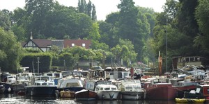Meet The Inhabitants Of Eel Pie Island