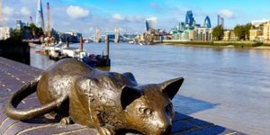 Things To Do Today In London: Friday 18 August 2018