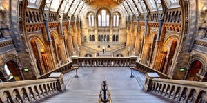 In Pictures: Stunning Snaps Of The Natural History Museum
