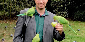 London's Parakeets: Everything You Need To Know
