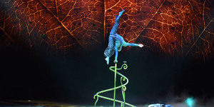Cirque Du Soleil Have Almost Cracked It With OVO