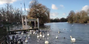 Never Been To Windsor? Here's What You're Missing
