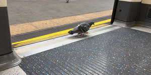 A Northern Line Tube Quiz