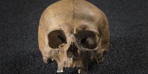 Skulls And Solar Panels: The Biggest Exhibitions To Catch In May 2018
