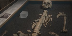 Step Back Into Roman London At This Spectacular Skeletal Exhibition