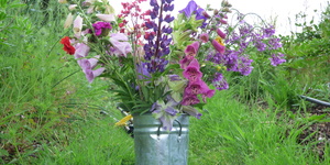 This Incredible Farm Has A Whole Acre Of Beautiful Flowers... And You Can Pick Them