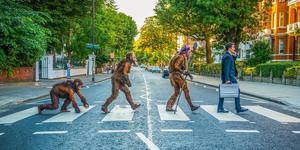 The Evolution Of Man... On The Abbey Road Crossing