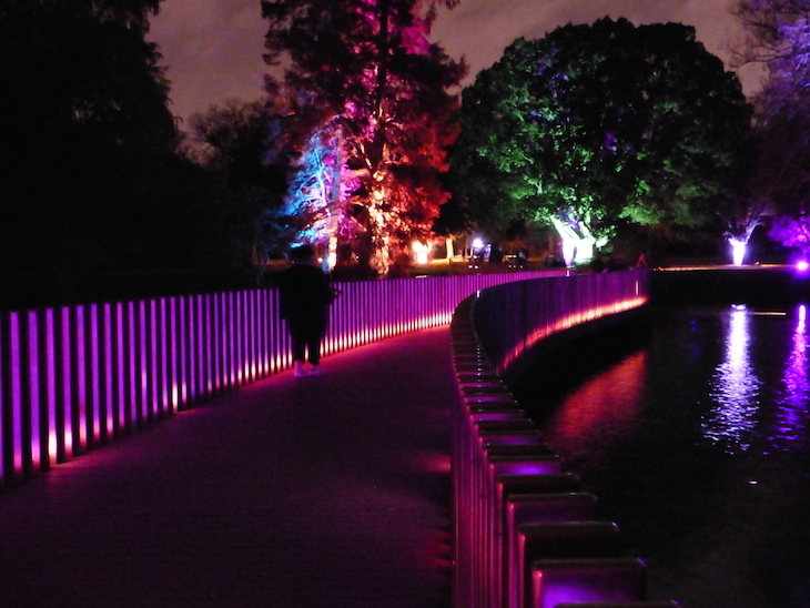 Christmas at Kew light festival at Kew Gardens, London