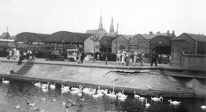 Swans in water before a London background.