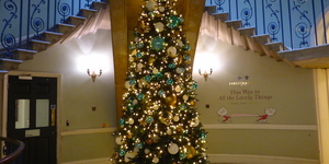 Fantastically Festive Photos Of London's Christmas Trees