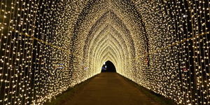 Christmas At Kew Gardens 2018: In Photos