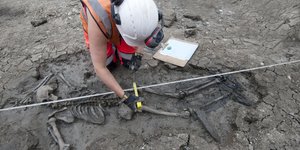 Medieval Skeleton Found Face-Down In Thames... Still Wearing Boots