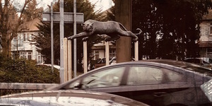 Spotted The Hidden Lions Of Fiveways Corner?