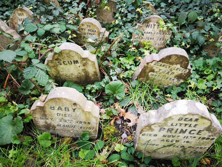 Inside Hyde Park Pet Cemetery Londonist