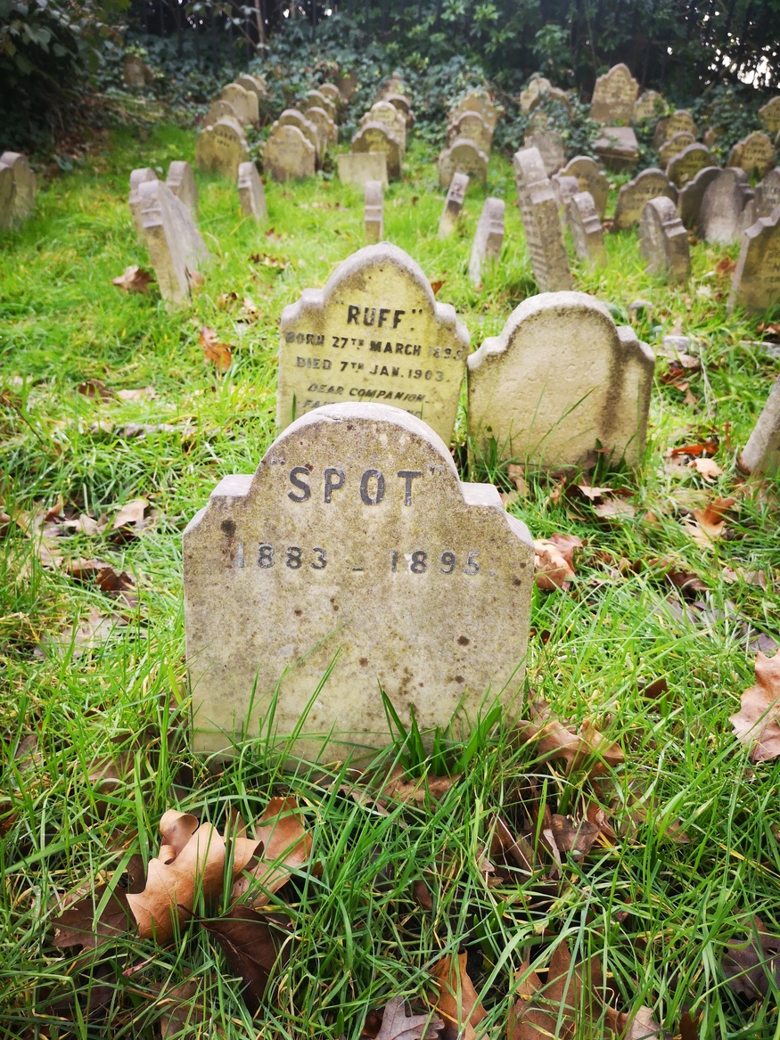 Did You Know About London's Hidden Pet Cemetery? Londonist