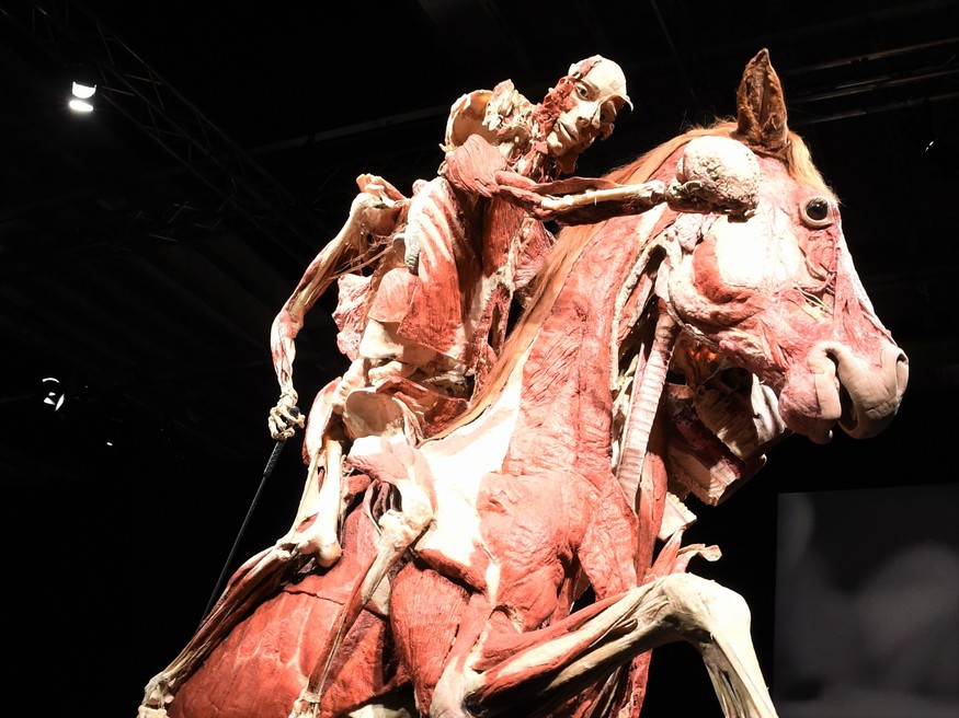 Inside The Piccadilly Circus Attraction That s Full Of Corpses