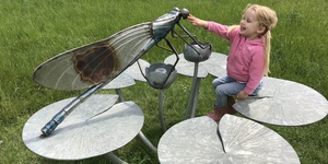 Why Every Nature-Lover Should Visit River Lee Country Park