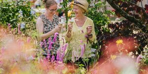 An Utterly Glorious Garden Festival Is Coming To Hampton Court Palace